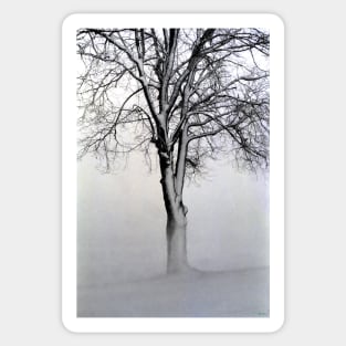 The Winter Tree Sticker